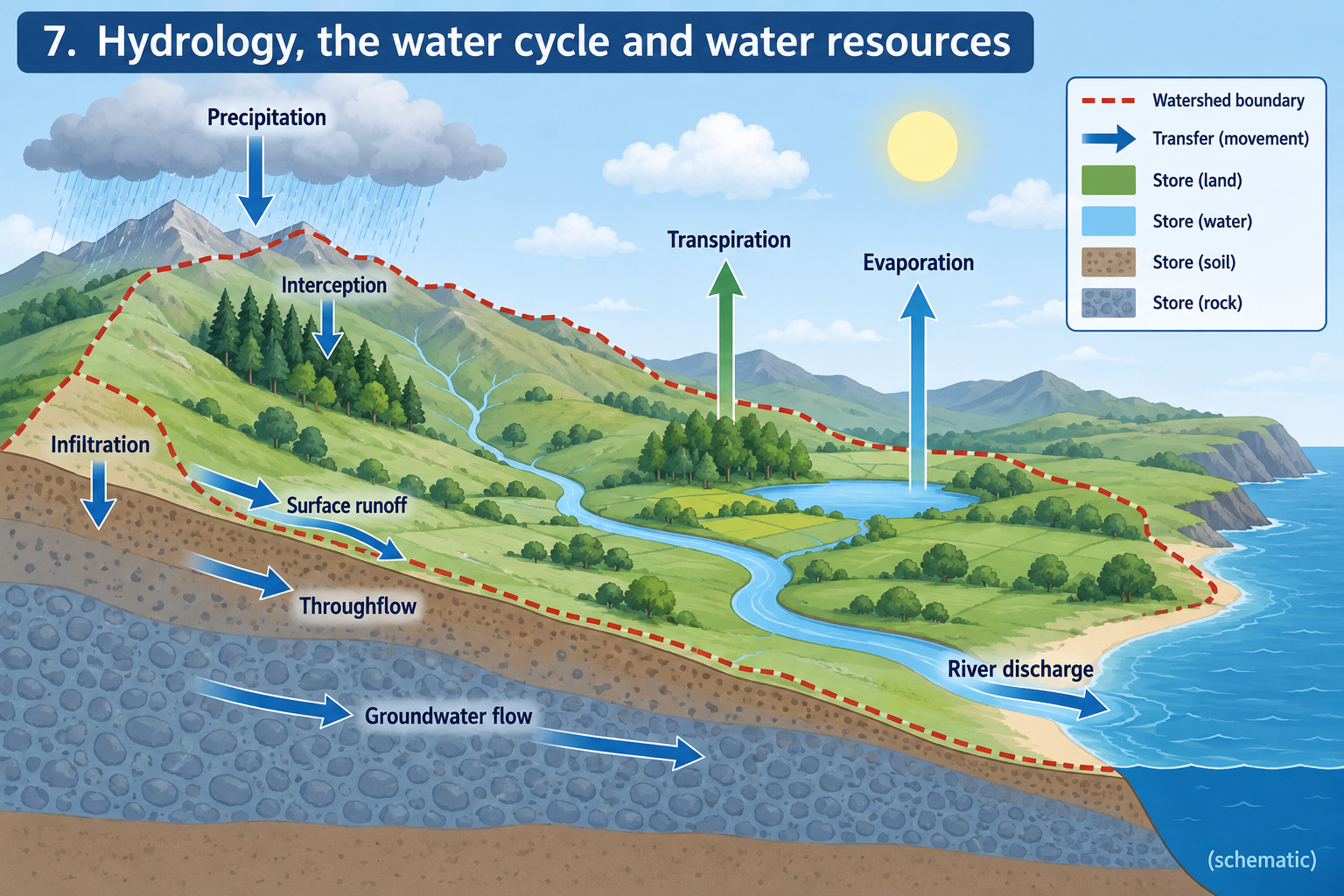 Drainage basin water cycle with stores and transfers